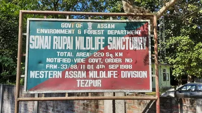 assam govt faces ngt heat for  schools  roads built in sonai rupai wildlife sanctuary