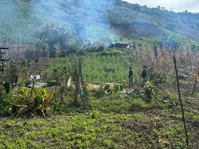 manipur  war against illegal poppy plantations intensified along the myanmar border