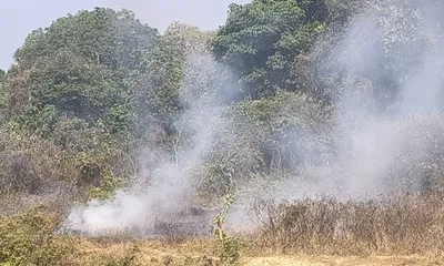 assam  nazirating forest fire sparks allegations of negligence by doomdooma staff
