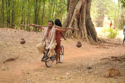 hindi cinema embraces environmental narratives