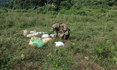 manipur  assam rifles  cops detect  neutralise bomb in kakching