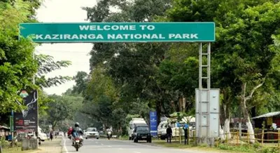 supreme court panel seeks assam govt’s reply on waste plant near kaziranga national park