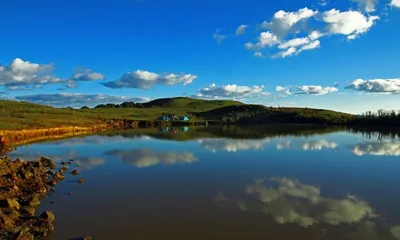 manipur  phangrei declared safe for shirui lily fest 2025  no tourist tax