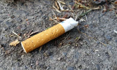 mizoram local chief fines son for tossing cigarette butt
