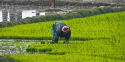 tripura pcc demands financial help for cyclone hit farmers