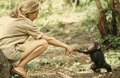 jane goodall  the unseen life and eternal legacy of a chimpanzee pioneer