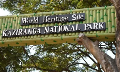 assam  suspected poacher shot dead in encounter at kaziranga national park