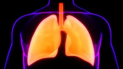 omega 3 fatty acids are linked to better lung health