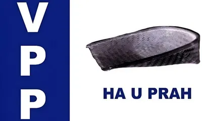 meghalaya vpp president demands independent inquiry into mla scheme funds