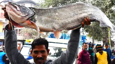 assam  people go crazy over fish on uruka 