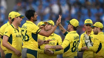 australia wins cricket world cup with 241 runs against india