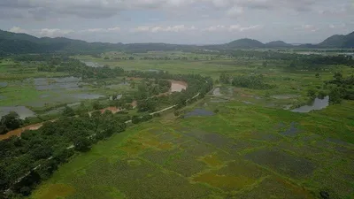 how guwahati ring road project puts wetlands  elephants in amchang and city at risk