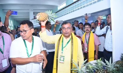 farmers reap triple profits from pineapple  tripura minister