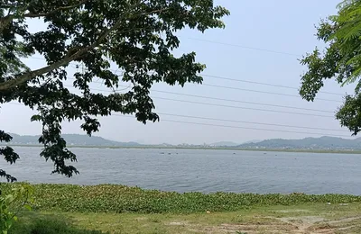 will deepor beel survive  inside the battle over assam s only ramsar wetland