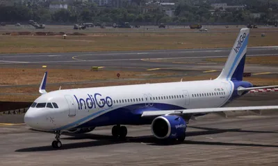 tripura  kolkata bound indigo flight returns to agartala after bird hit