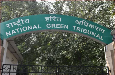 assam  ngt rejects plea for full compensation for baghjan oil blowout victims