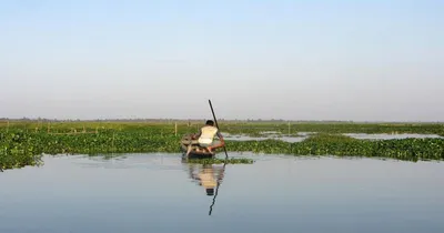 assam govt to rejuvenate 129 wet lands to mitigate floods