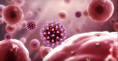 covid 19  the end of the tunnel is far away