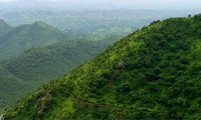 environment ministry suppressed fsi report on aravallis  amicus tells supreme court