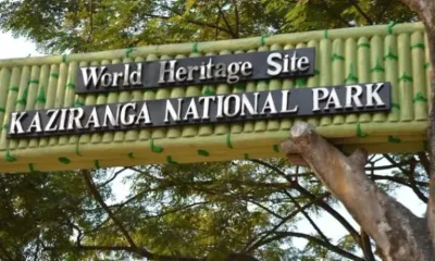 assam  prohibitory orders imposed on kaziranga highway as floods trigger wildlife movement