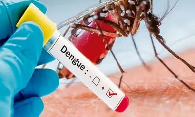 manipur health officials confirm 74 dengue cases  1 death in 2025