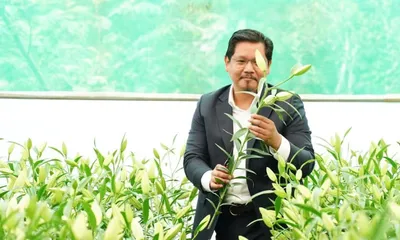 meghalaya partners with bengal firms to boost rs 240 cr floriculture mission