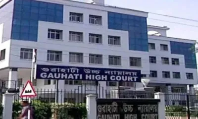 gauhati high court halts tree felling tender for ring road project  pil flags wildlife concerns